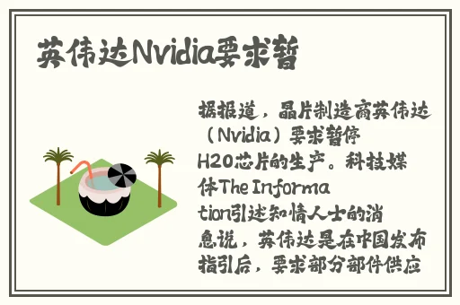 91精品视频在线免费观看